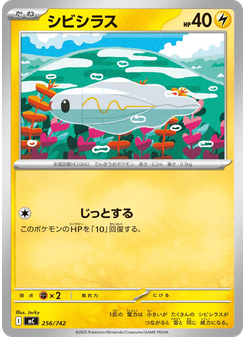 シビシラス