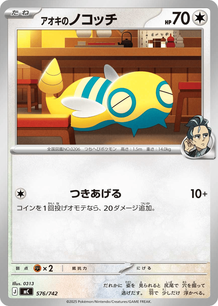 アオキのノコッチ