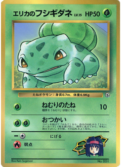 Erika's Bulbasaur