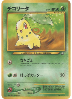 チコリータ