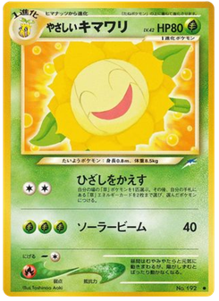 やさしいキマワリ