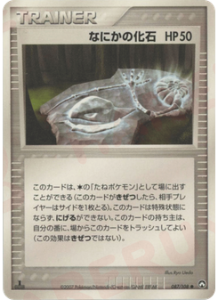 なにかの化石