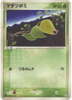 マダツボミ