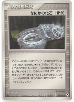 なにかの化石