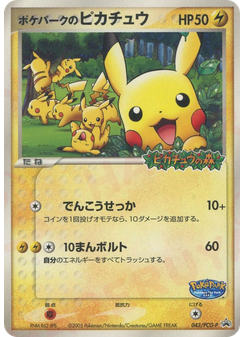 ポケパークのピカチュウ