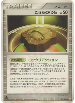 こうらの化石