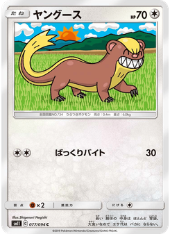ヤングース