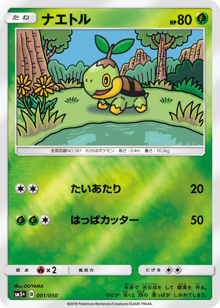 ナエトル
