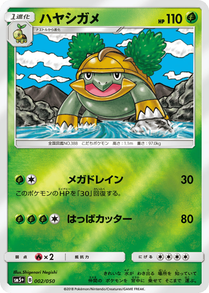 ハヤシガメ