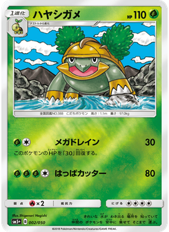 ハヤシガメ