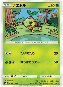 ナエトル