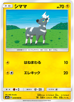 シママ