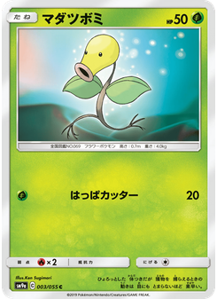 マダツボミ