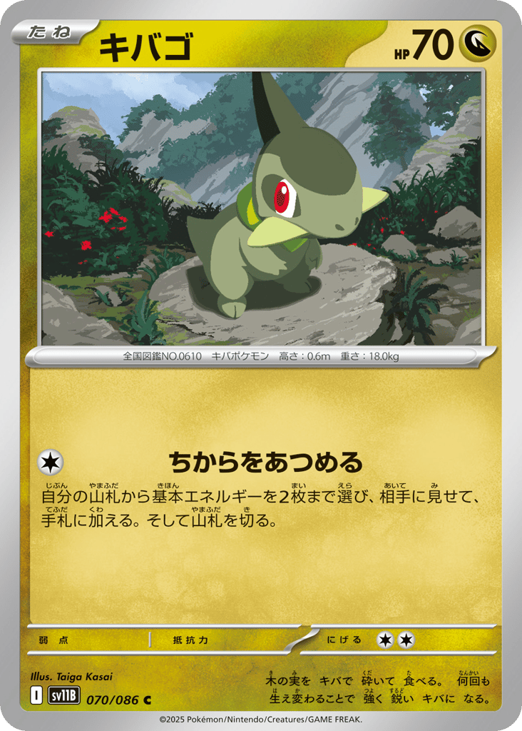 キバゴ