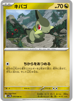 キバゴ