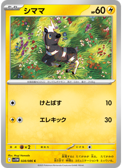 シママ