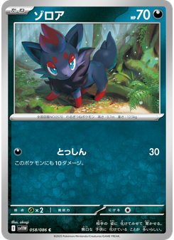 ゾロア
