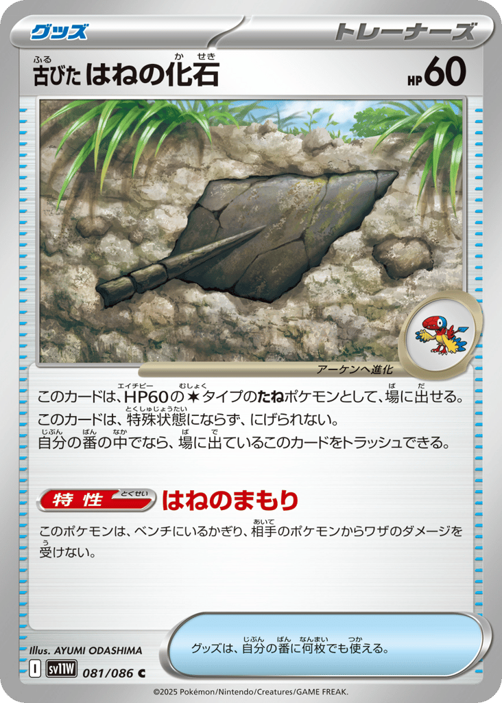 古びたはねの化石