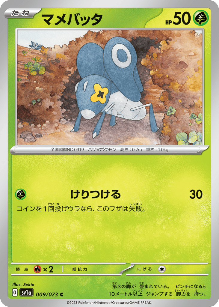 マメバッタ