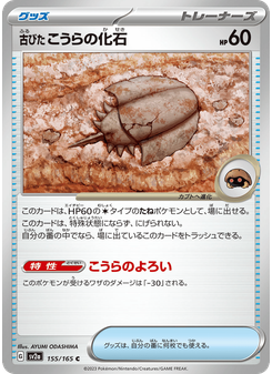 古びたこうらの化石