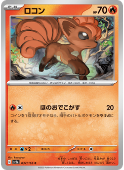 ロコン