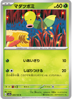 マダツボミ