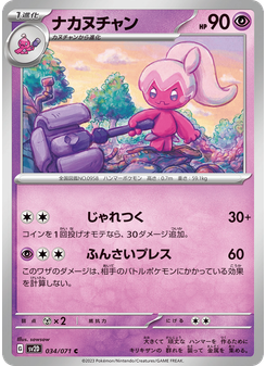 ナカヌチャン