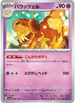 バウッツェル