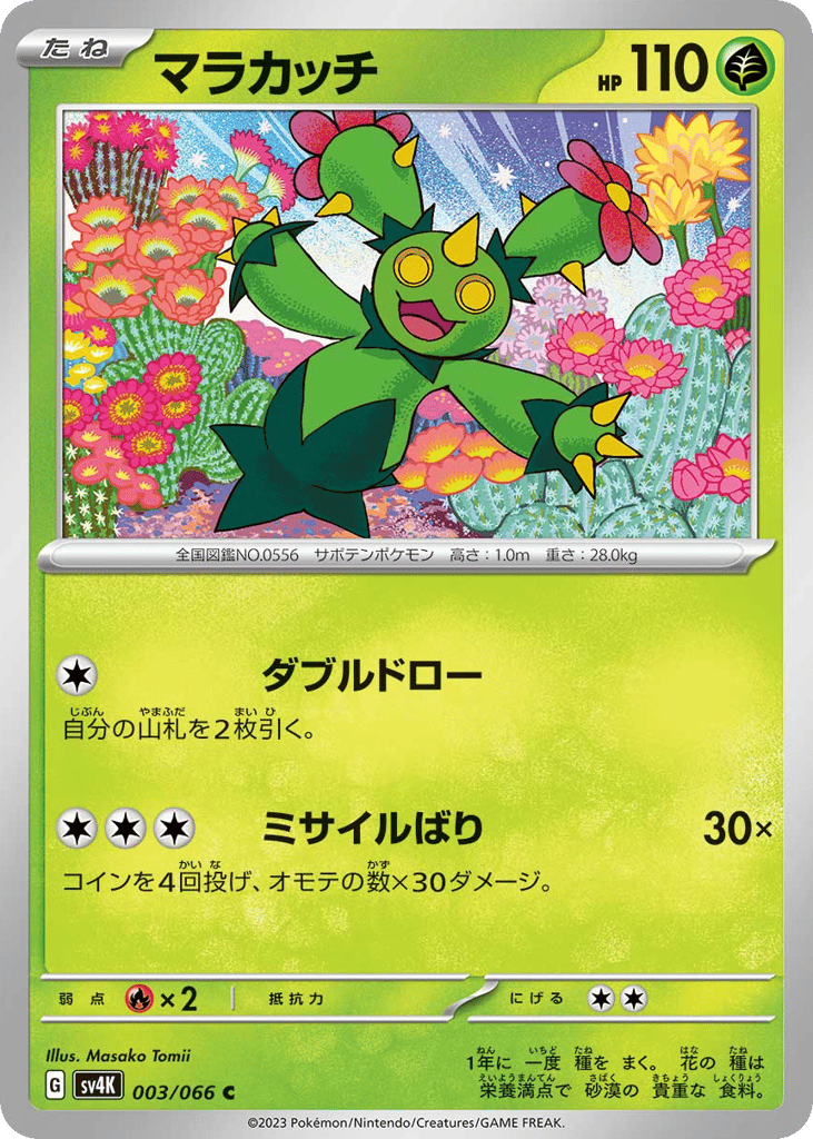 マラカッチ