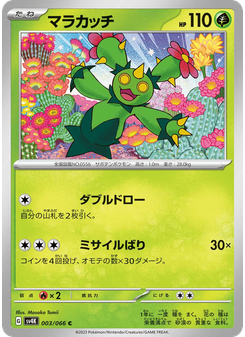 マラカッチ
