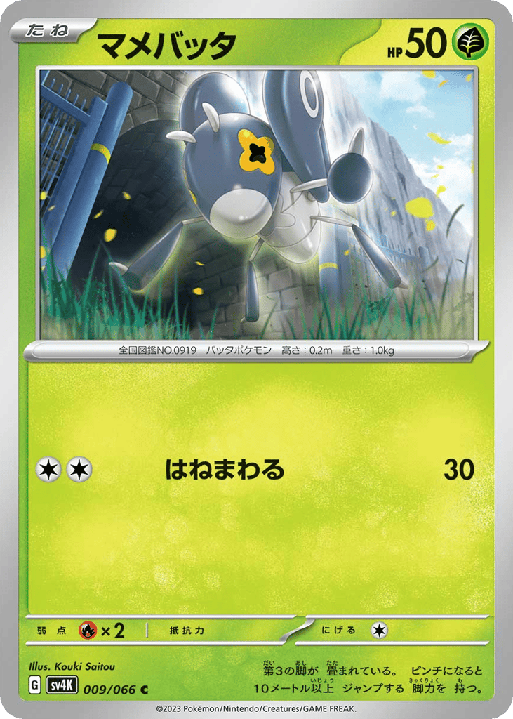 マメバッタ