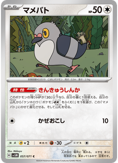 マメパト