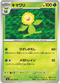 キマワリ