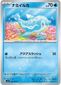 ナミイルカ
