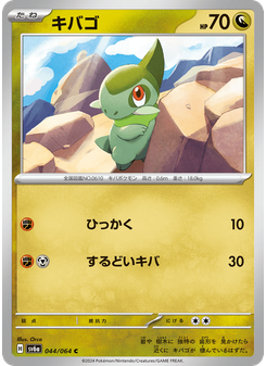 キバゴ
