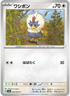 ワシボン