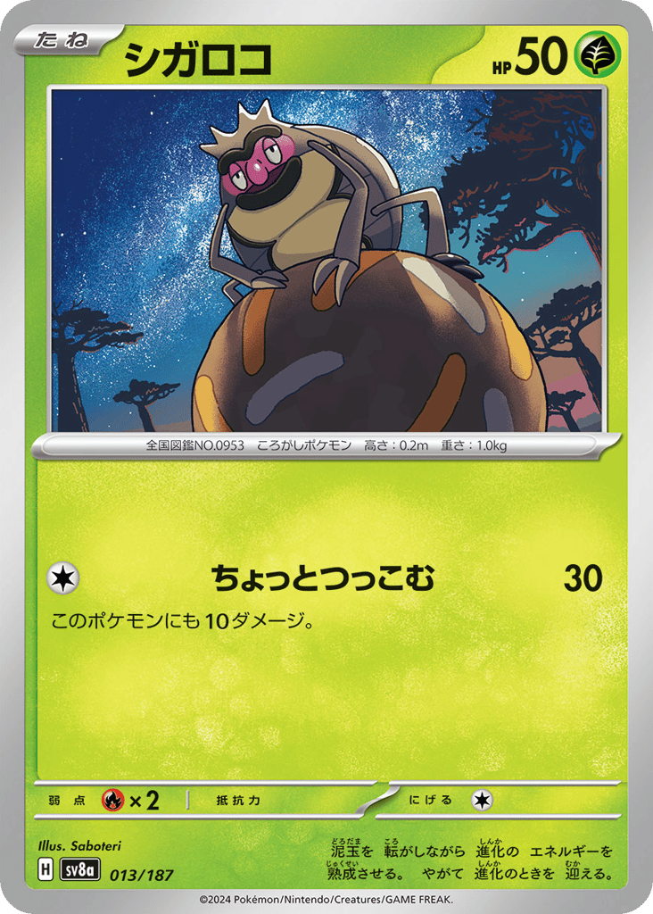 シガロコ