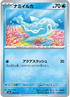 ナミイルカ