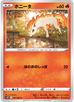 ポニータ