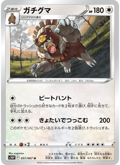 ガチグマ