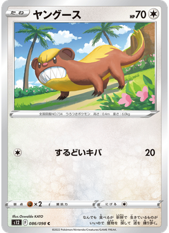 ヤングース