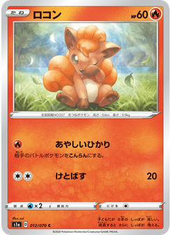 ロコン