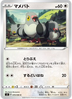 マメパト