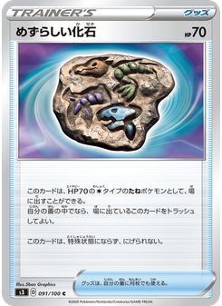めずらしい化石