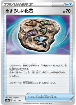 めずらしい化石