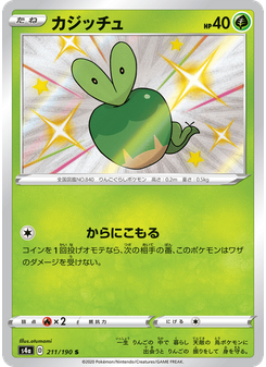 カジッチュ