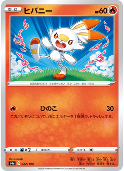 ヒバニー