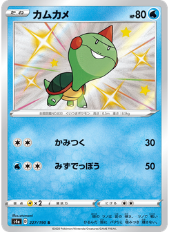 カムカメ