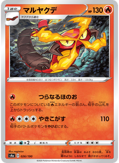 マルヤクデ