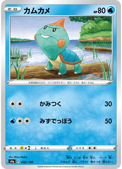カムカメ